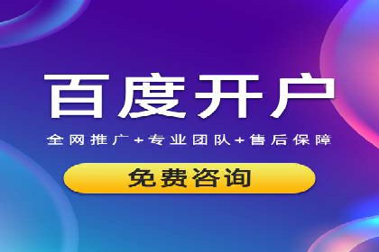 SEM竞价广告的智能优化：成功案例解读
